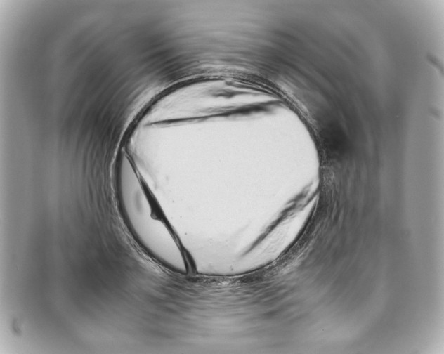 X0000097960891200804211100