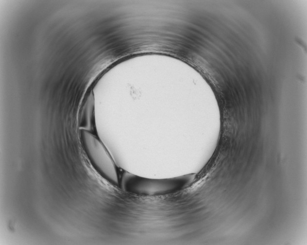 X0000097960892200804211059