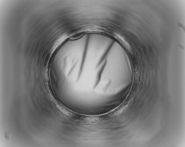 X0000097960893200804211059