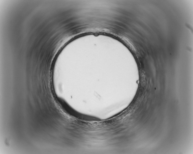 X0000097960895200804211059