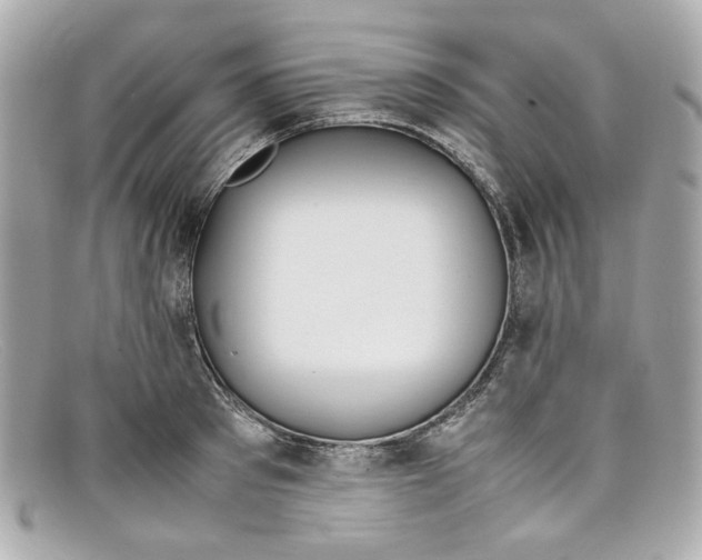 X0000097960897200804211059