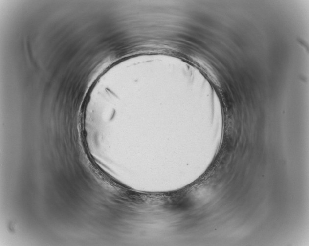 X0000097960899200804211059