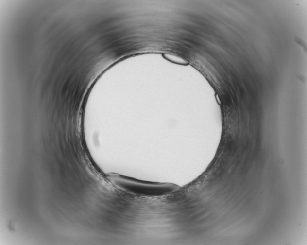 X0000097960900200804211059