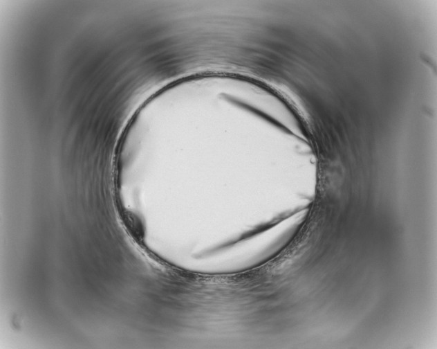 X0000097960903200804211059