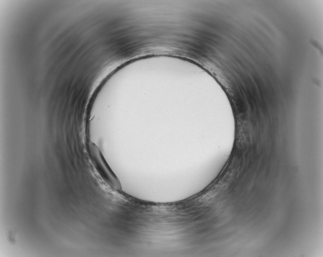 X0000097960904200804211059