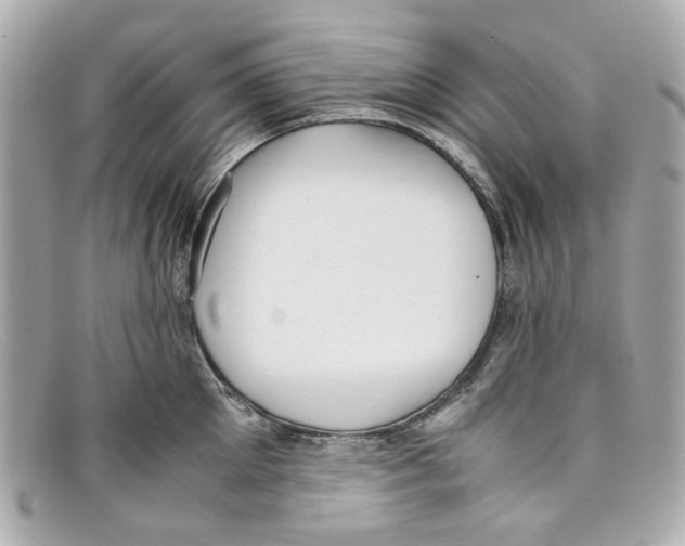 X0000097960905200804211059