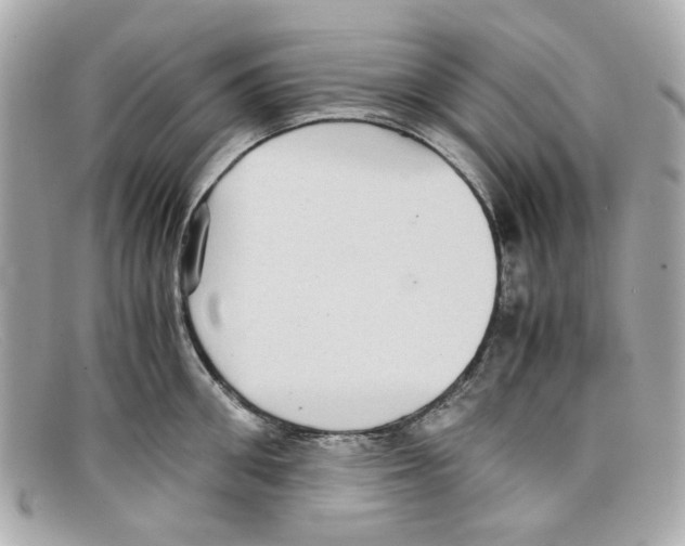X0000097960906200804211059