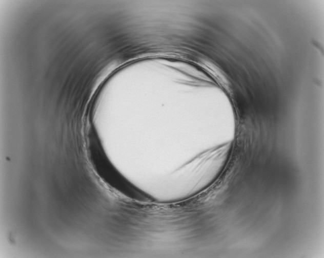 X0000097960907200804211059