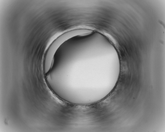 X0000097960910200804211059