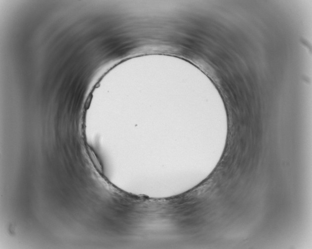 X0000097960912200804211059