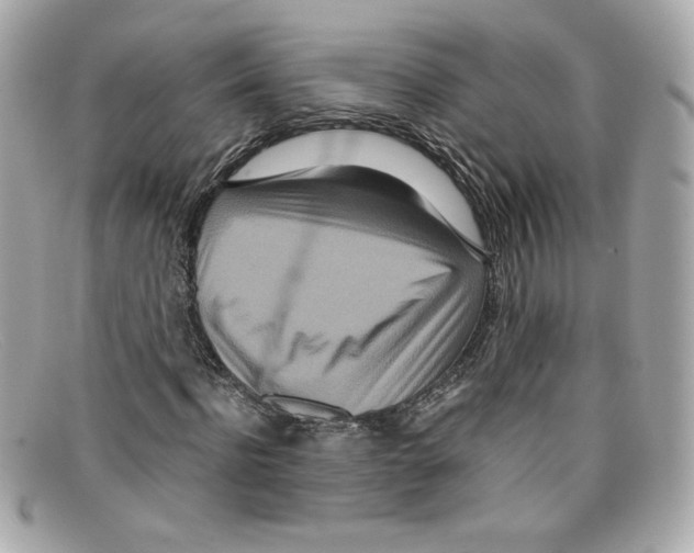 X0000097960916200804211058