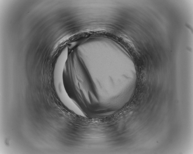 X0000097960920200804211058