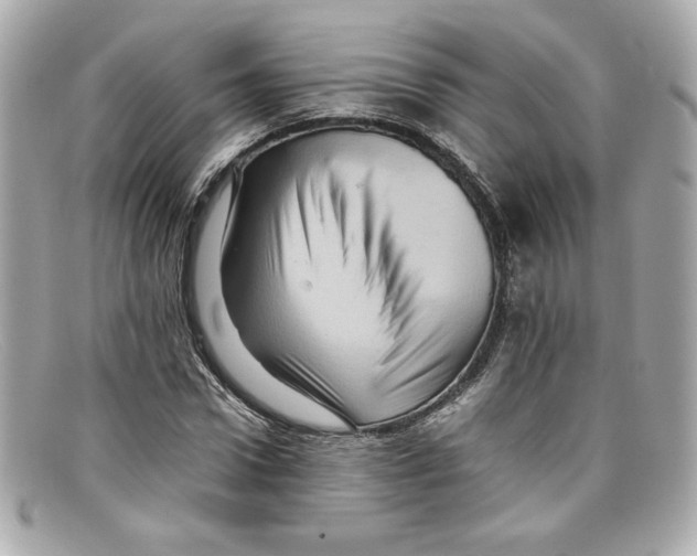 X0000097960922200804211058