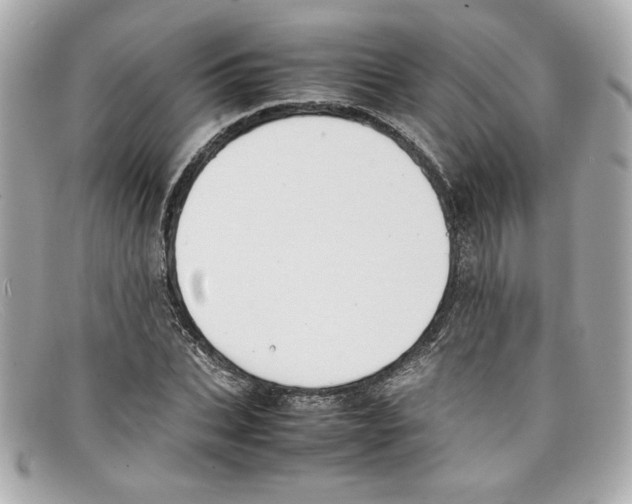 X0000097960927200804211059