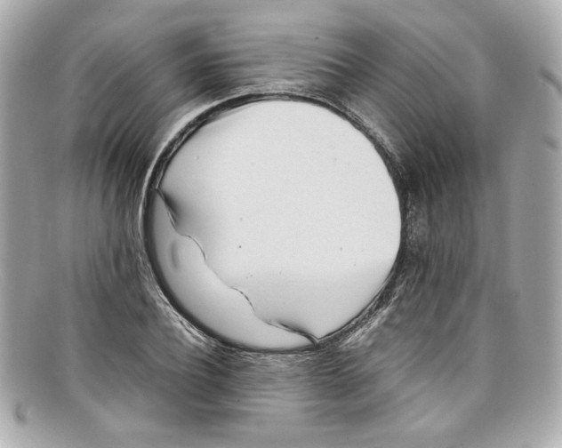 X0000097960932200804211059