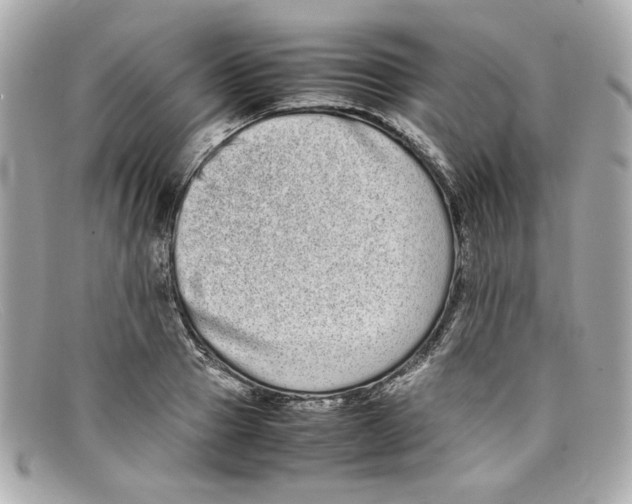 X0000097960937200804211059