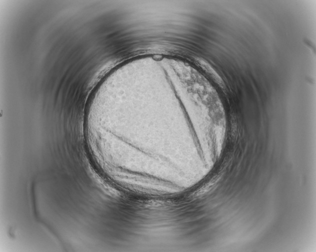 X0000097960938200804211059