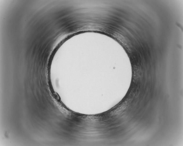 X0000097960942200804211059