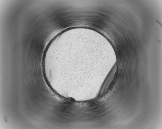 X0000097960943200804211059