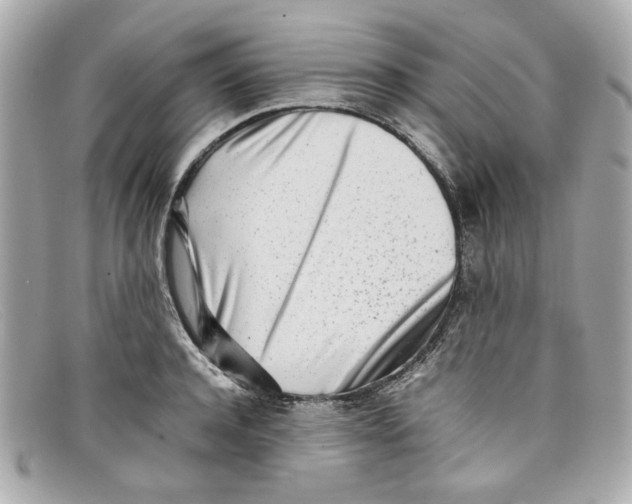 X0000097960944200804211059
