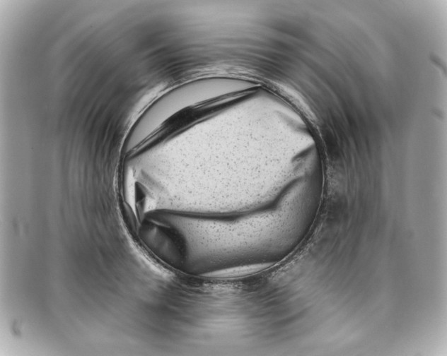 X0000097960946200804211059