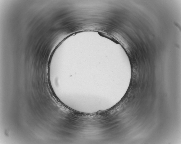 X0000097960948200804211059