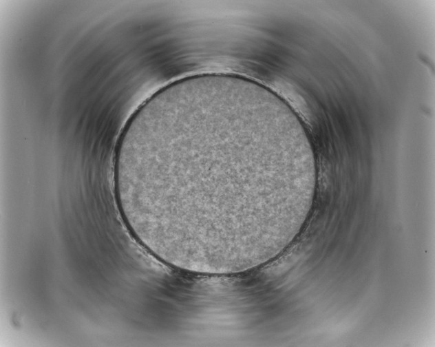 X0000097960950200804211059