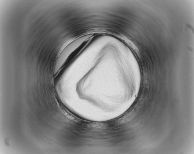 X0000097960953200804211059