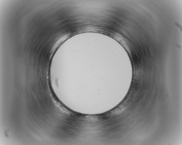 X0000097960954200804211059