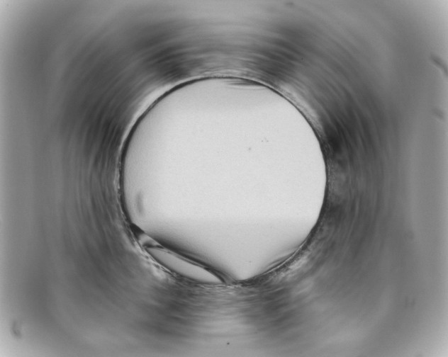 X0000097960956200804211059