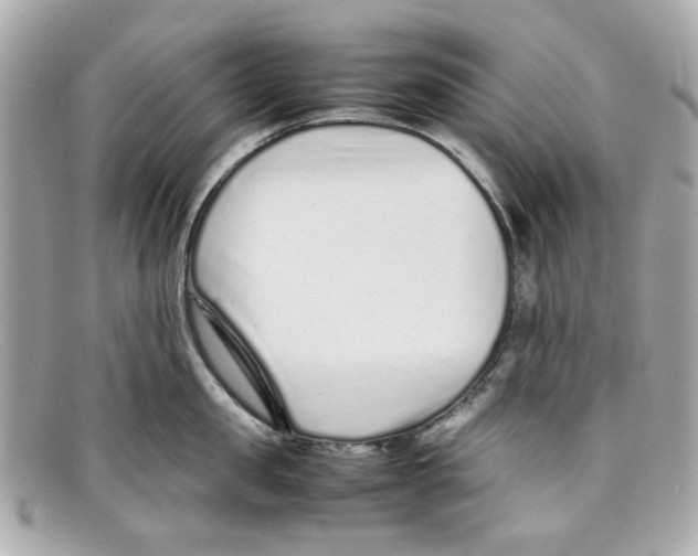 X0000097960957200804211059