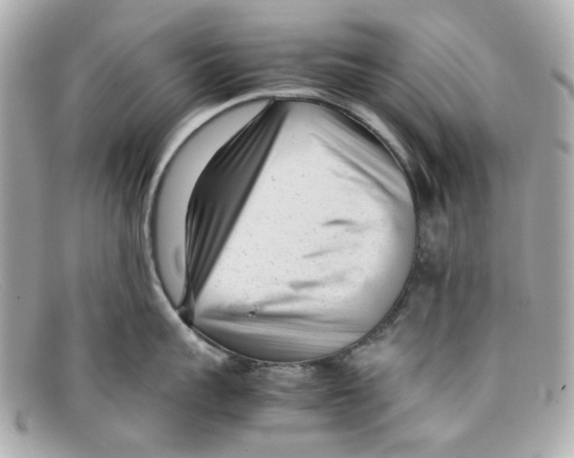 X0000097960959200804211059