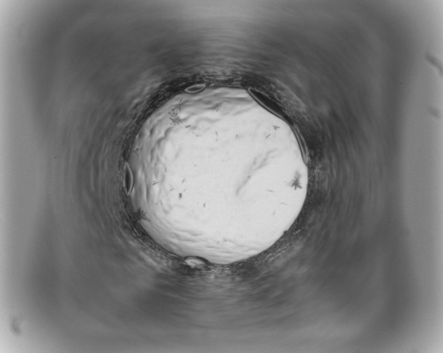 X0000097960961200804211058
