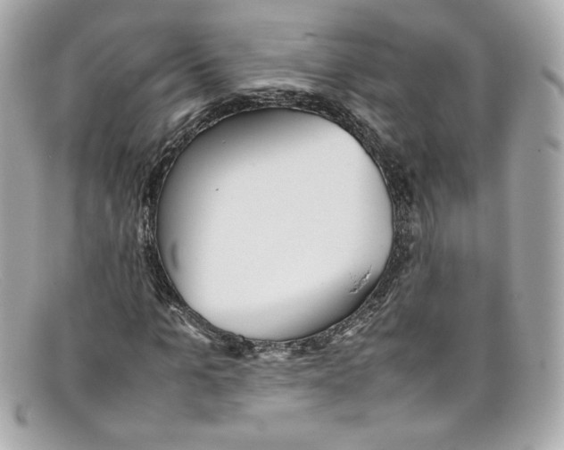 X0000097960965200804211058