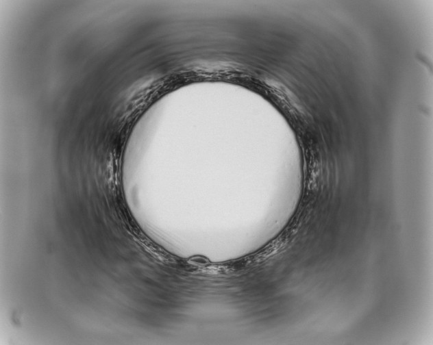 X0000097960966200804211058
