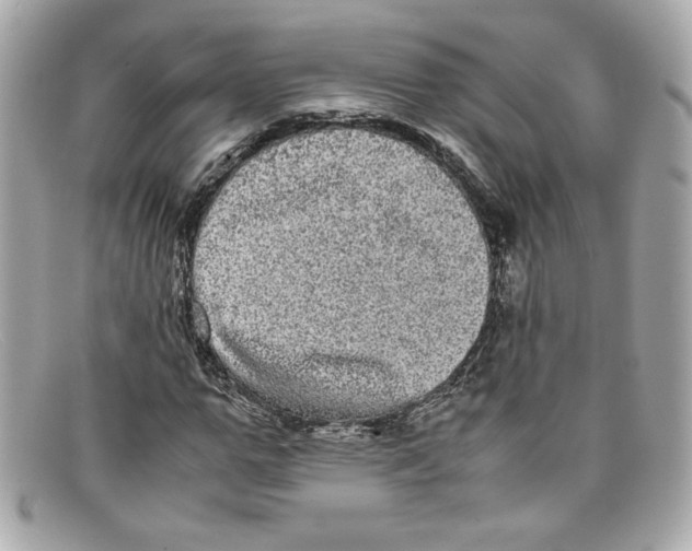 X0000097960967200804211058