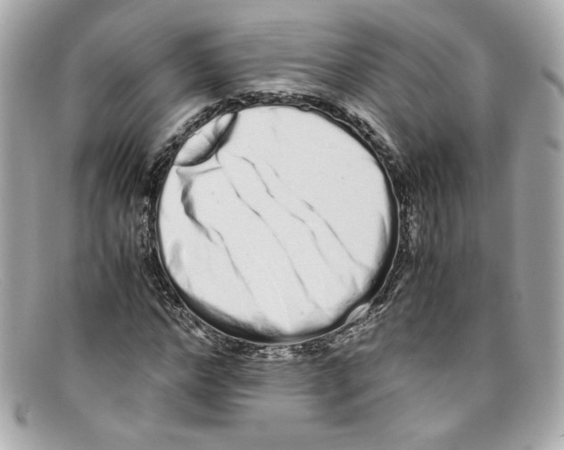 X0000097960968200804211058