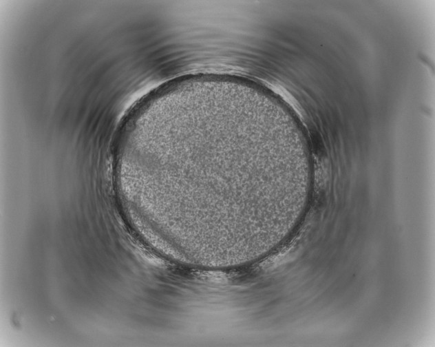 X0000097960971200804211058