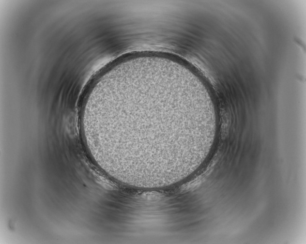 X0000097960974200804211058