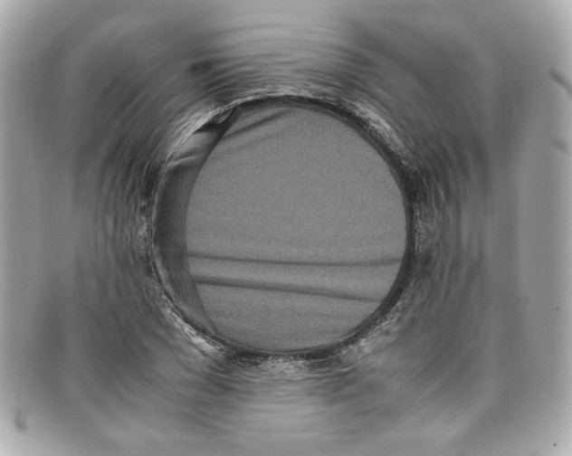 X0000097960977200804211058