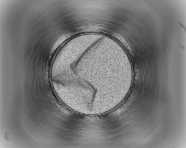 X0000097960978200804211058