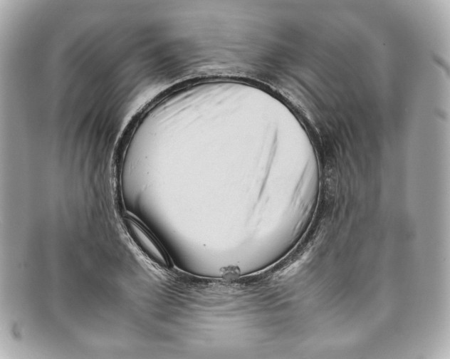X0000097960981200804211058