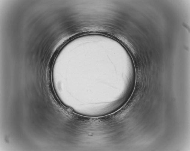 X0000097960983200804211058