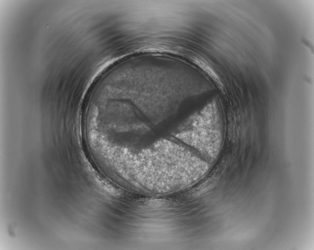 X0000097960984200804211058