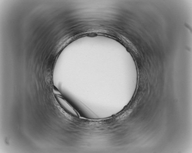 X0000097960985200804211058