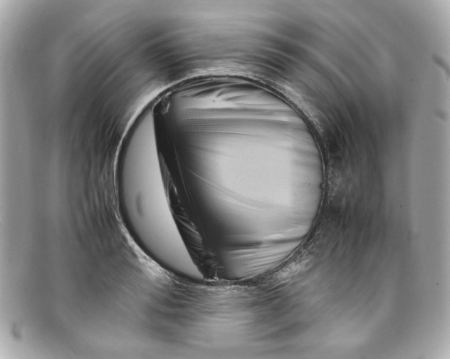 X0000097960988200804211058