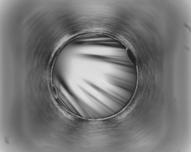 X0000097960989200804211058
