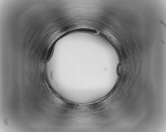 X0000097960993200804211058