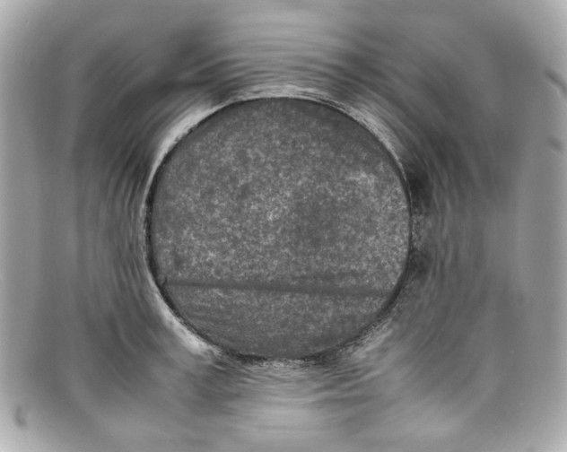 X0000097960995200804211057