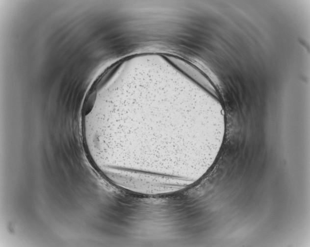 X0000097960996200804211057